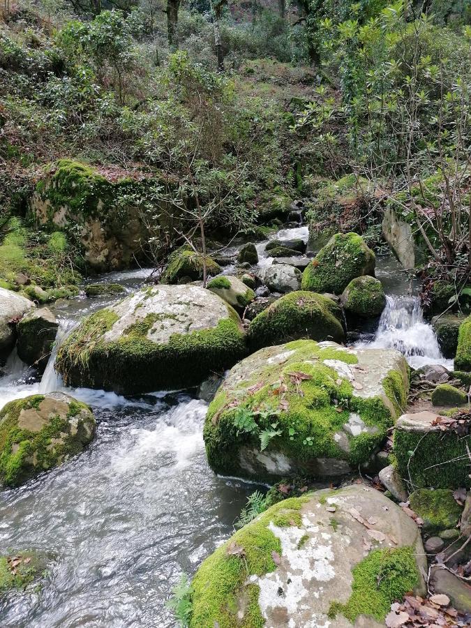 Appartamento Casa Quercus con piscina privada Cortes de la Frontera Esterno foto