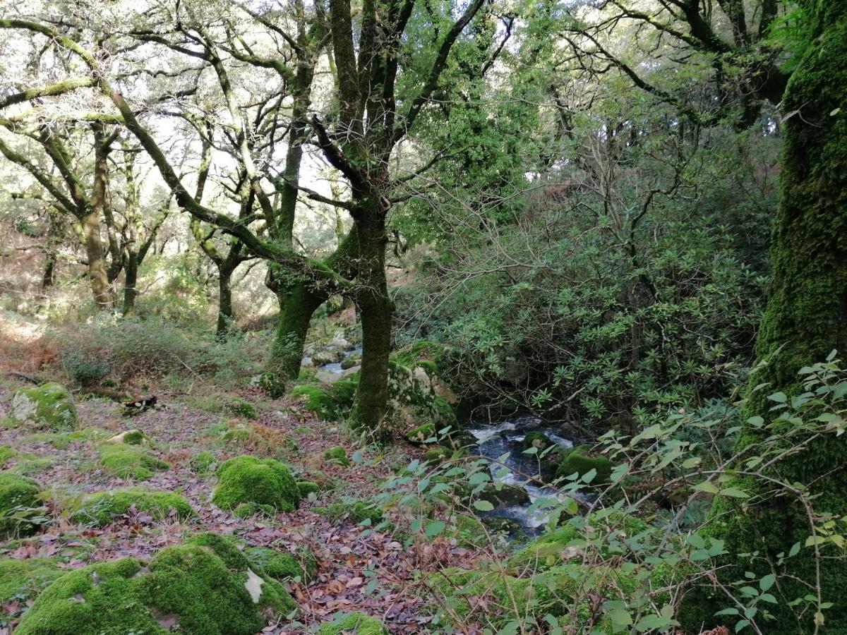 Appartamento Casa Quercus con piscina privada Cortes de la Frontera Esterno foto