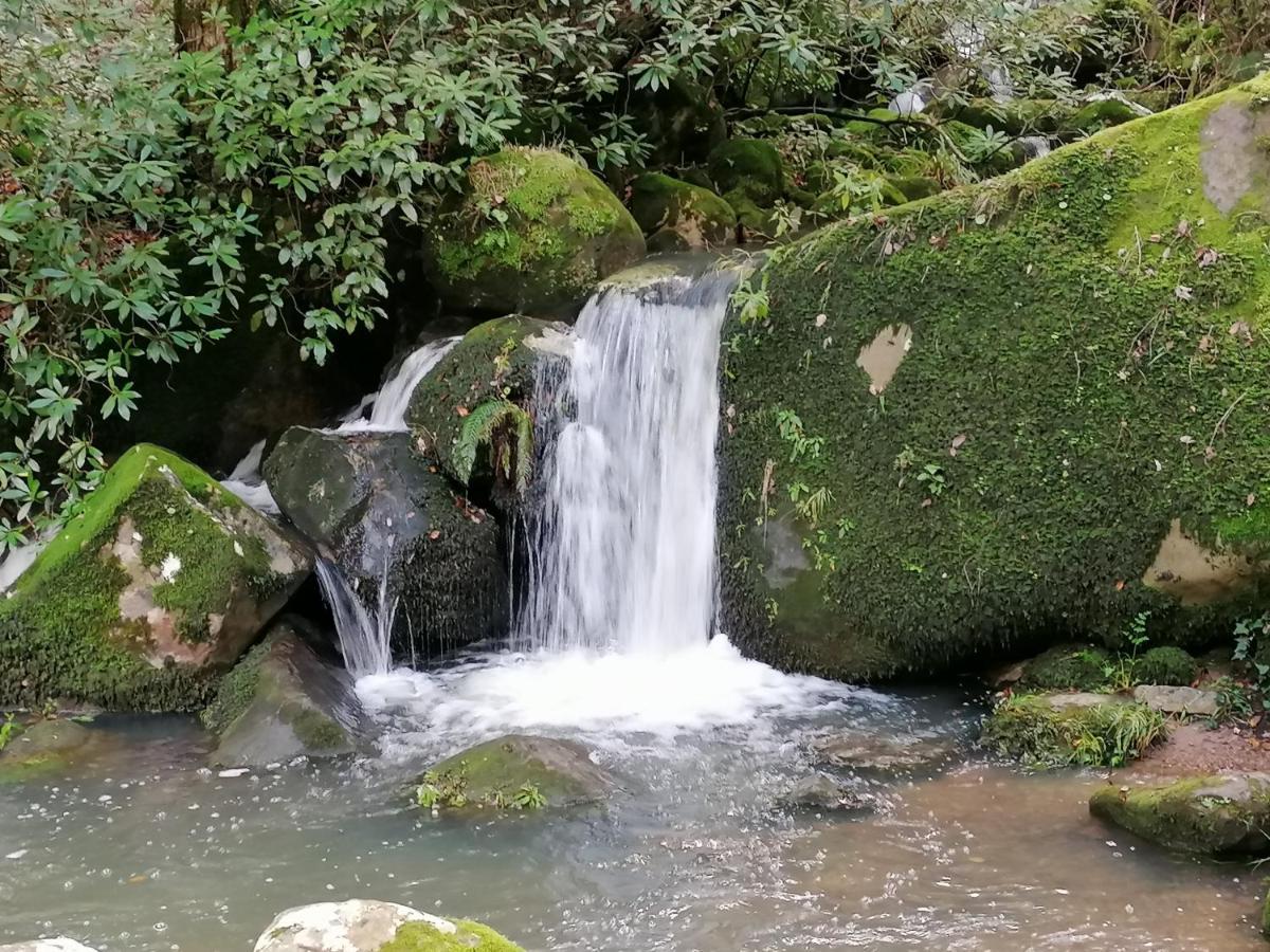 Appartamento Casa Quercus con piscina privada Cortes de la Frontera Esterno foto