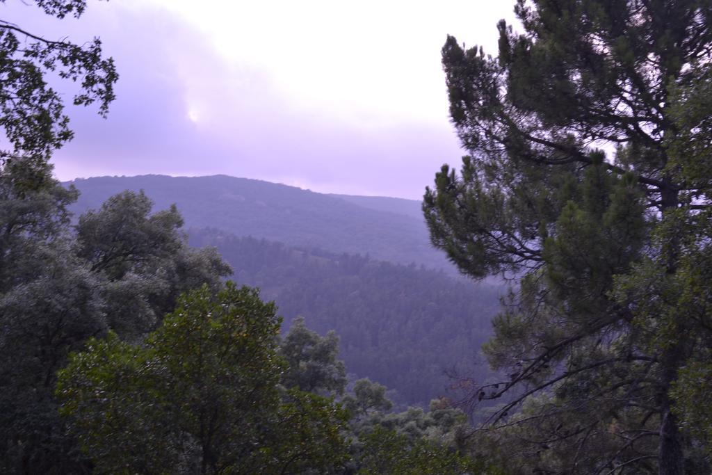 Appartamento Casa Quercus con piscina privada Cortes de la Frontera Esterno foto